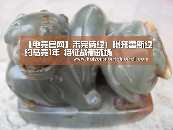 【电竞官网】未完待续!曝托雷斯续约马竞1年 将征战新球场(图2) 开云电竞