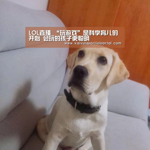 LOL直播_“玩游戏”是科学育儿的开始 会玩的孩子更聪明(图2) 开云电竞官网