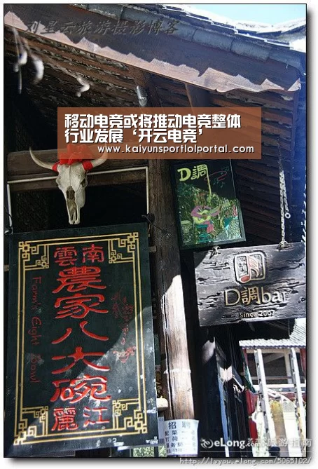 开云电竞官网